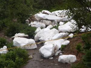 ALASKA-JULY-27-2012-041