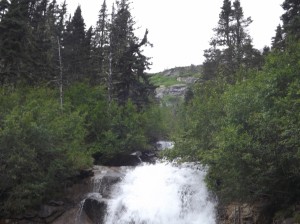 ALASKA-JULY-27-2012-075